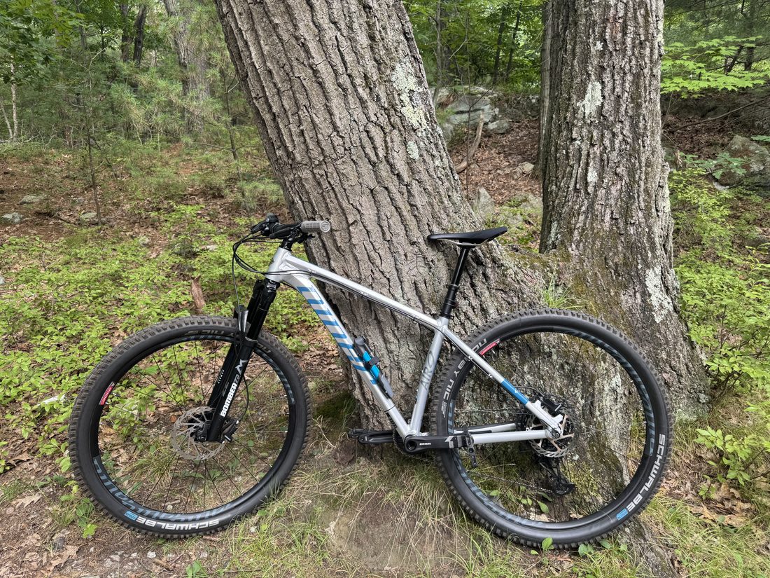 A silver and blue Niner hardtail mountain bike leaning against a tree on a wooded trail